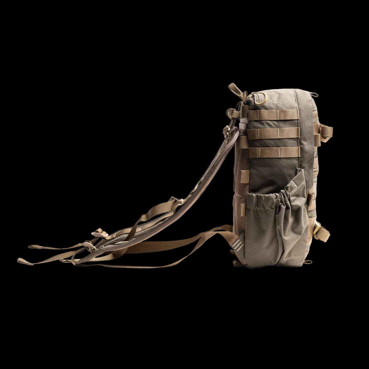 Ranger 11