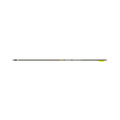 Gold Tip Pierce LRT .166